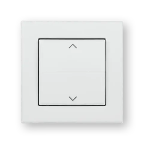 Button rocker for brand switches – with arrows